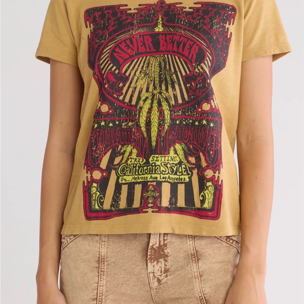 The sinful embroidered tee shirt